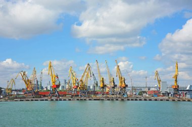 bağlantı noktası kargo vinç