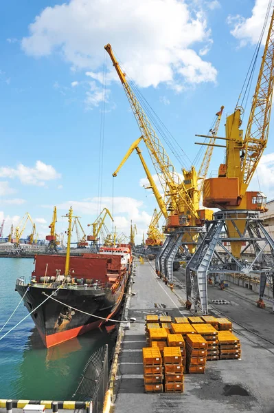 Bulk cargo ship under port crane — Stock Photo, Image