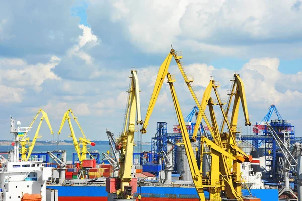 Bulk cargo ship under port crane