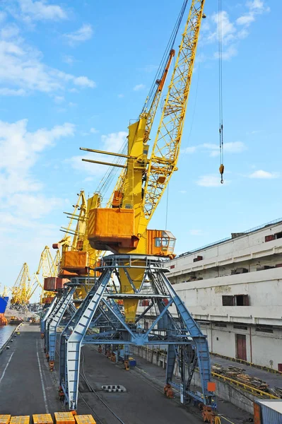 Grue à cargaison portuaire — Photo