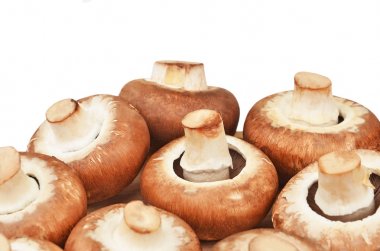 Champignon (gerçek mantar)