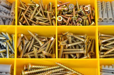 plastik düzenleyici kutusunda canı cehenneme