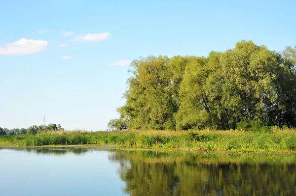 Paisaje verde con río y árbol —  Fotos de Stock