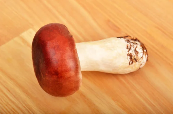 Fungo Boletus edulis su tavola di legno — Foto Stock