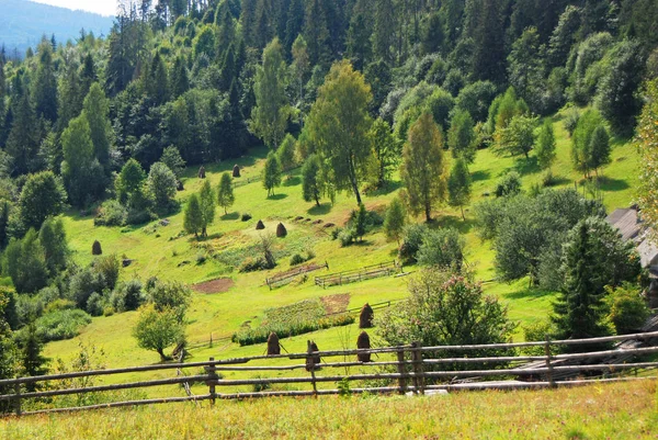 Paysage de montagne dans les Carpates — Photo