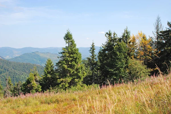 Bergslandskap i Karpaterna — Stockfoto