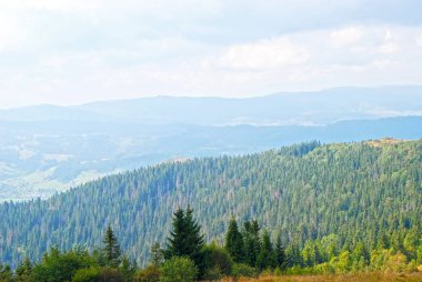 Karpat dağ manzara