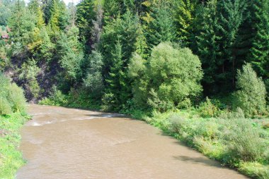 Nehri üzerinde Karpatlar