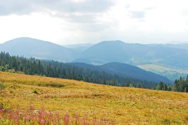 Paisagem montanhosa em Cárpatos — Fotografia de Stock