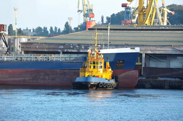 Remorkér pomáhající hromadné nákladní loď — Stock fotografie