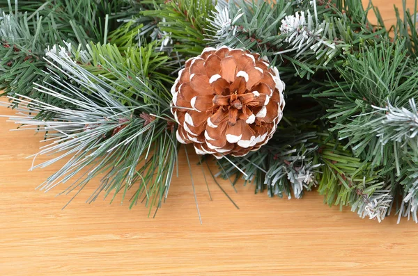 Christmas tree and strobile — Stock Photo, Image