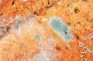 Kalıplı somun ekmek