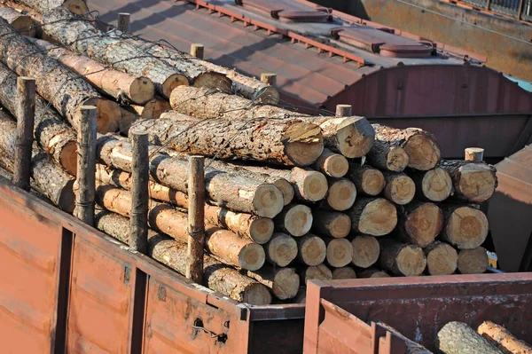 鉄道のラウンド木材 — ストック写真