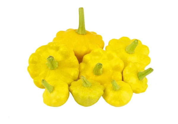 Jakobsmuschel-Pudding-Kürbis (cucurbita pepo var. patisson) — Stockfoto