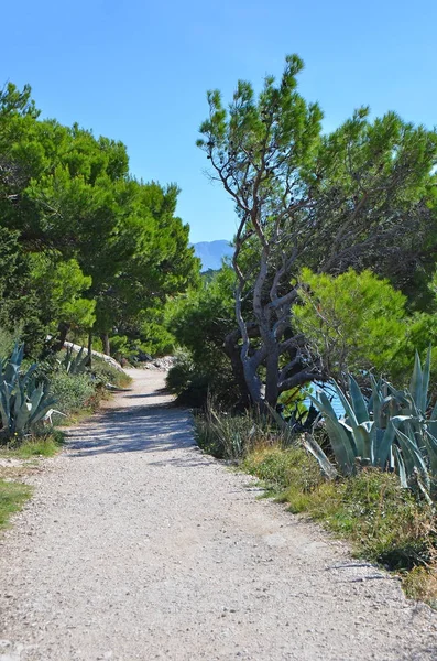 Paesaggio costiero in Croazia — Foto Stock