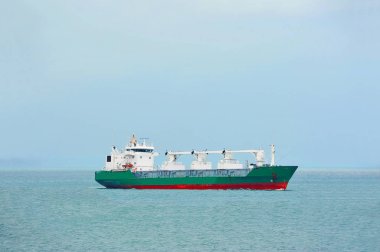 Soğuk hava kargo taşıyıcı