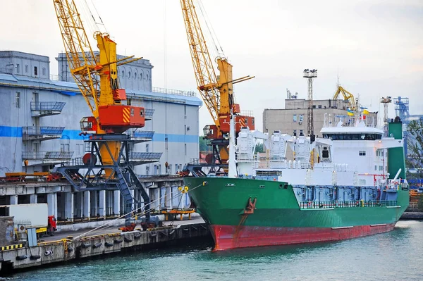 Transportador de carga refrigerado en puerto — Foto de Stock