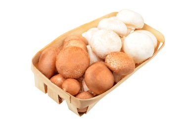 Champignon (gerçek mantar)