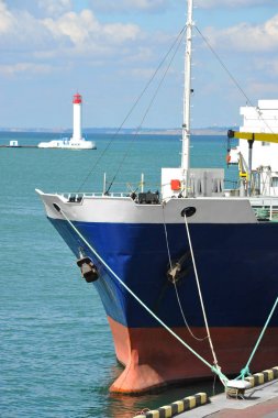 Soğuk hava kargo taşıyıcı Port