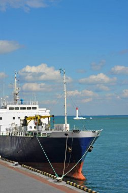 Soğuk hava kargo taşıyıcı Port