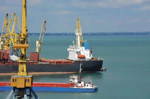 Navire cargo en vrac sous la grue portuaire — Photo