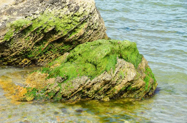 Coastal rock landscape