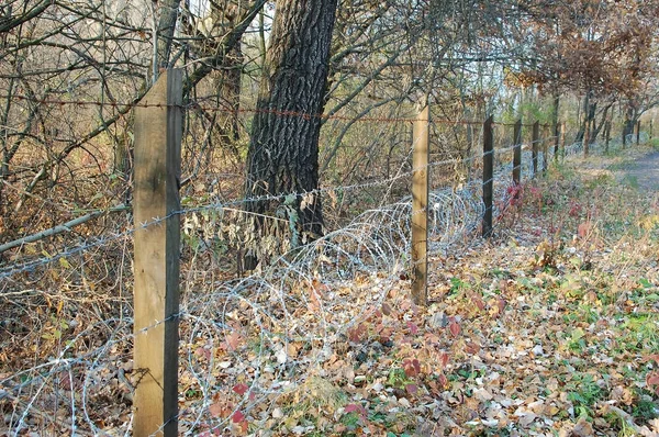 Ostnatý drát v lese — Stock fotografie