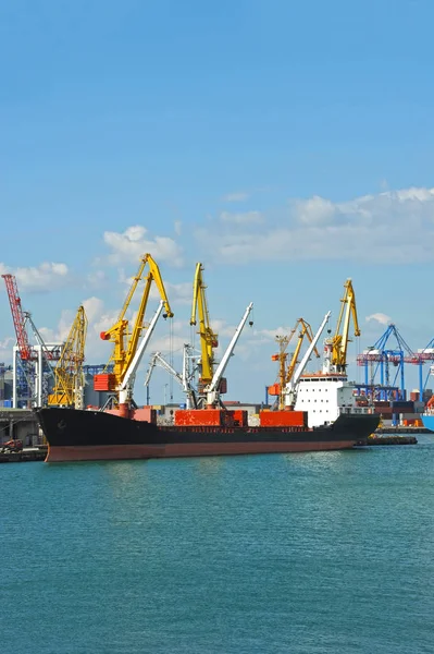 Bulk vrachtschip onder poort kraan — Stockfoto