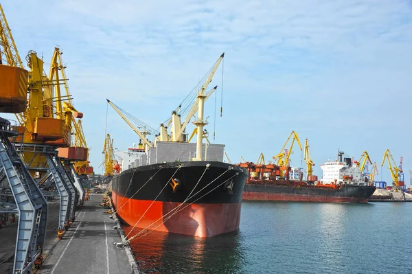 Navio de carga a granel sob guindaste portuário — Fotografia de Stock
