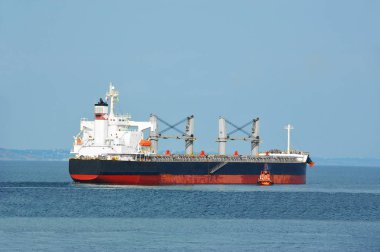 yardımcı pilot toplu kargo gemisi