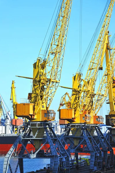 Bulk cargo ship under port crane — Stock Photo, Image