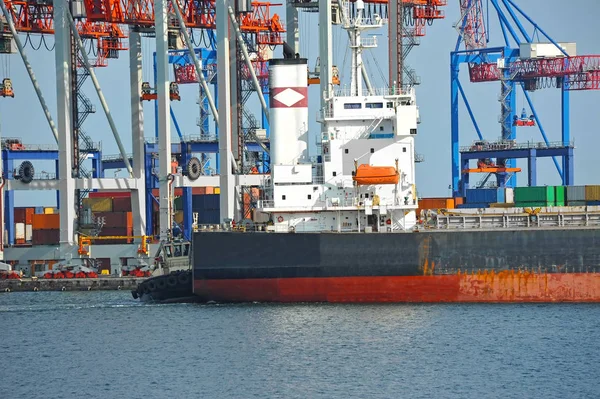 Bulk cargo ship under port crane — Stock Photo, Image