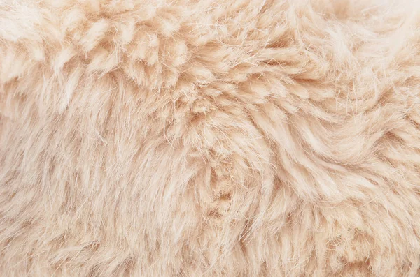 人造毛皮背景をテクスチャ — ストック写真