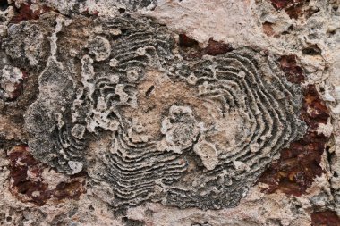 Antik kentin taş duvar yıpranmış.