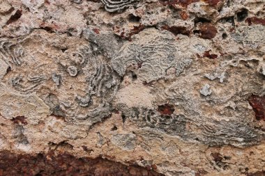 Antik kentin taş duvar yıpranmış.