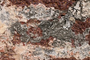 Antik kentin taş duvar yıpranmış.