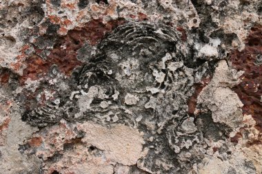 Antik kentin taş duvar yıpranmış.