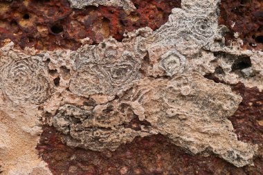 Antik kentin taş duvar yıpranmış.