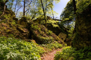 Güzel yeşil taşlar