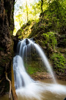 Ormanda düşen Stream su
