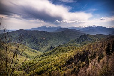 Woods ile Dağları'nın nefes kesen manzarası