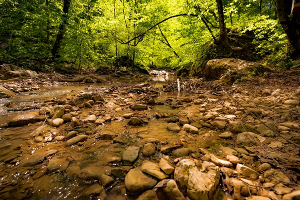 Taşlar üzerinde akan su