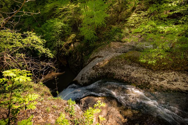 Stream of water flowing down — Stock Image Stream of water flowing down Royalty Free Stock Images
