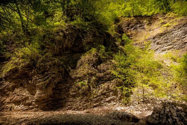 Rocky cliffs and trees — Stock Image Rocky cliffs and trees Royalty Free Stock Images