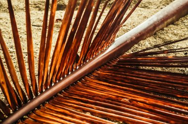 Kuru hurma ağacı dalı ile portakal Kamala Beach kum üzerinde yalan bırakır. 