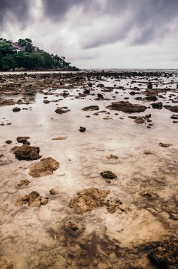 Okyanusun sığ suda taş