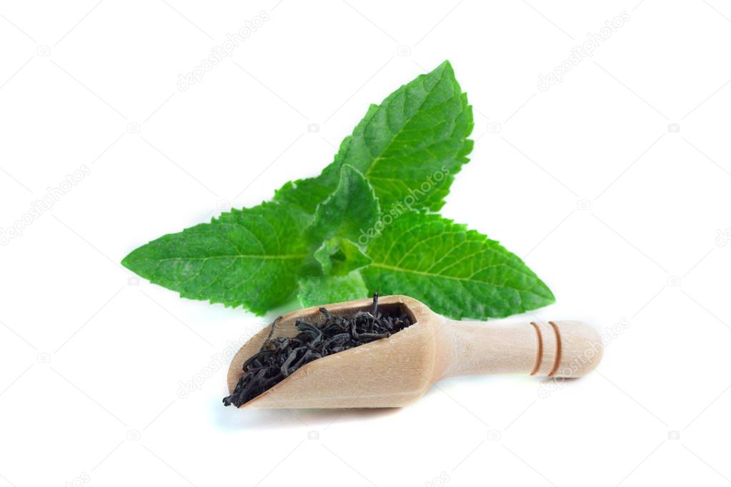 Spoon with leaves tea and fresh green mint leaf isolated on white background