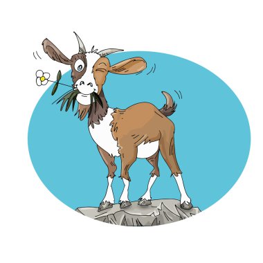 Çiçek, mascotte ile keçi
