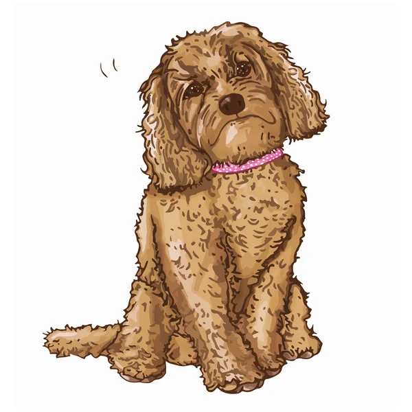 Hund mit rosa Halsband — Stockfoto