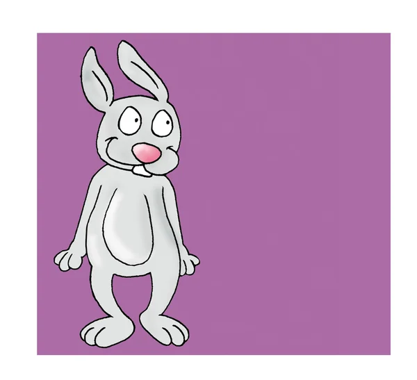 Kaninchen mit lila Hintergrund — Stockfoto